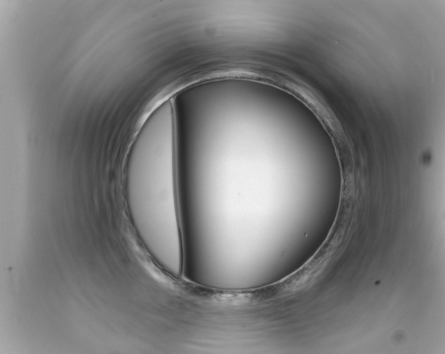 X0000091860858200709050955