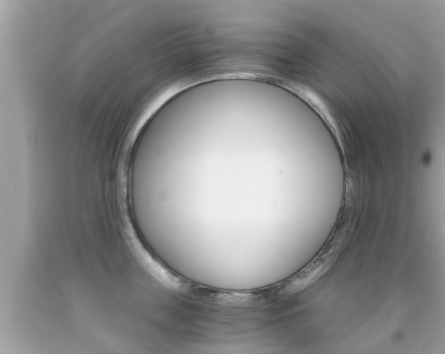 X0000091860859200709050955
