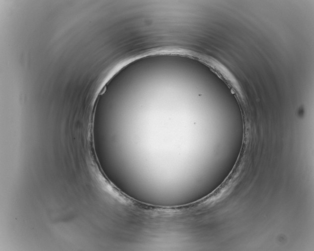 X0000091860860200709050955