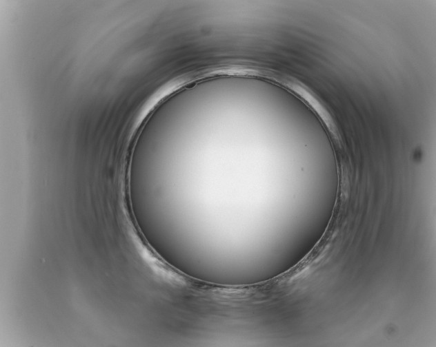 X0000091860861200709050955