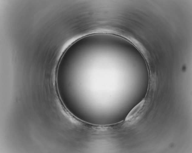 X0000091860862200709050955