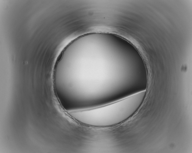 X0000091860864200709050955