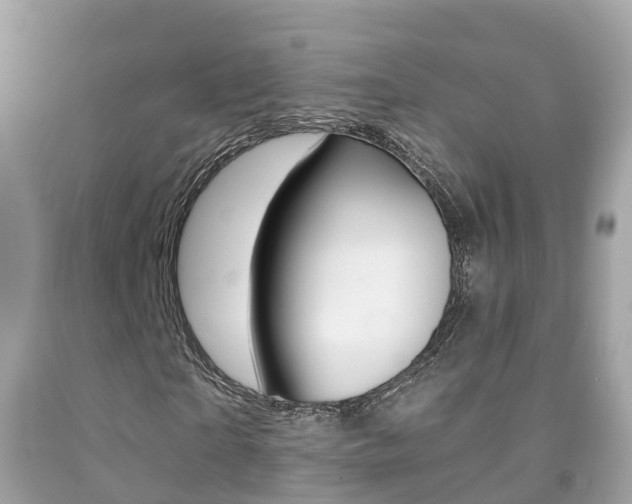 X0000091860865200709050955