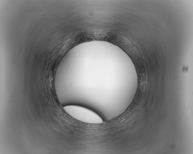 X0000091860866200709050955