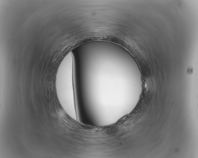 X0000091860867200709050955