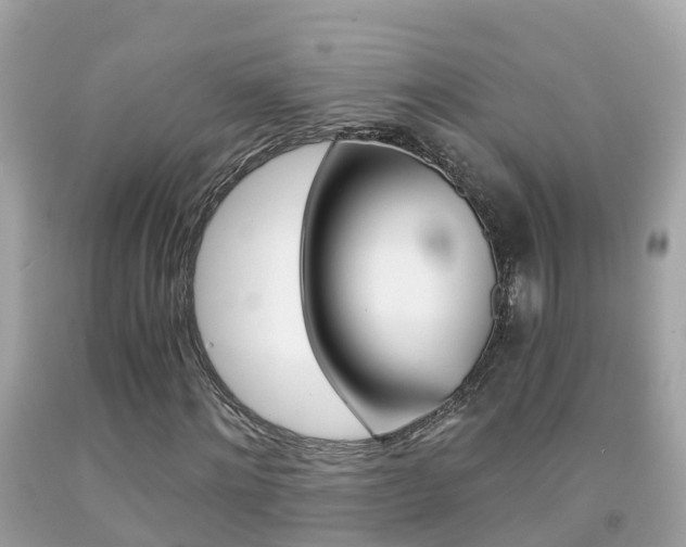 X0000091860868200709050955