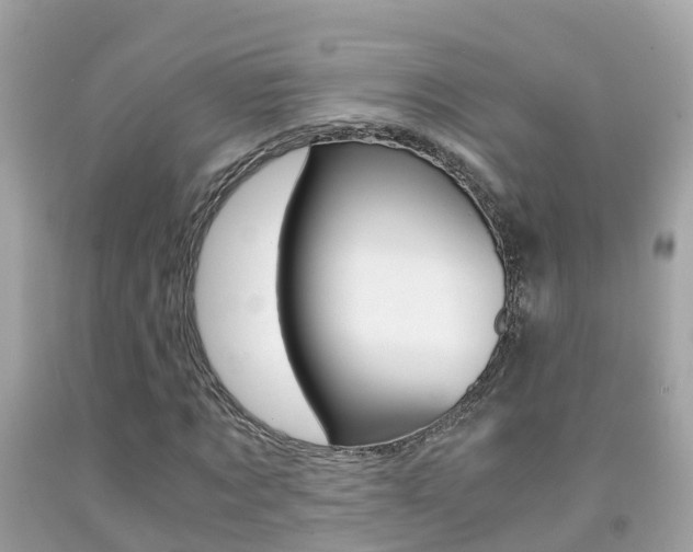 X0000091860869200709050955