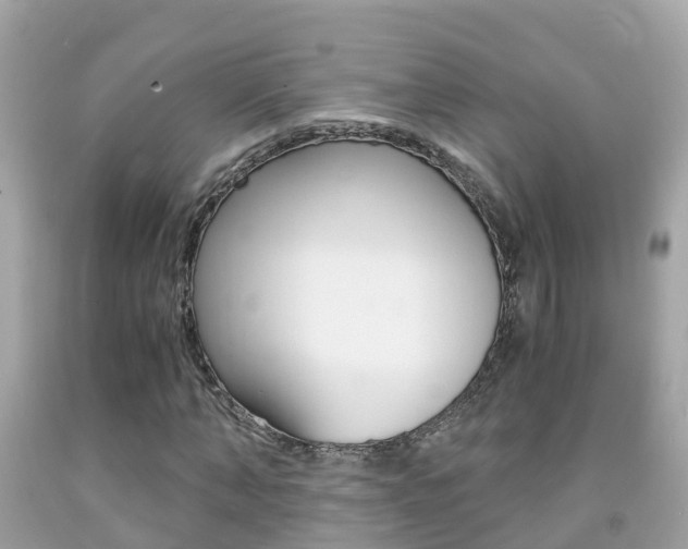 X0000091860870200709050955