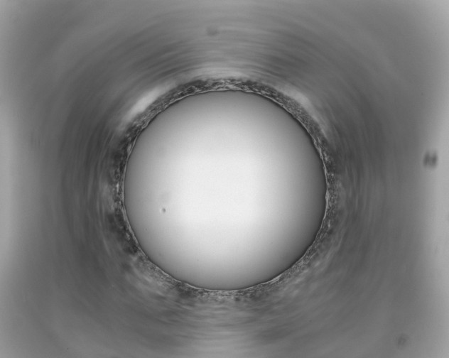X0000091860871200709050955