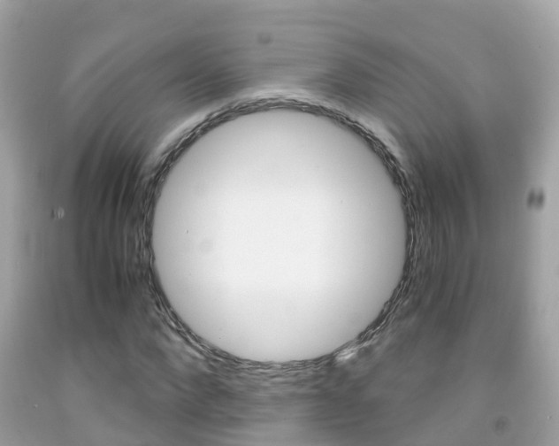 X0000091860872200709050955