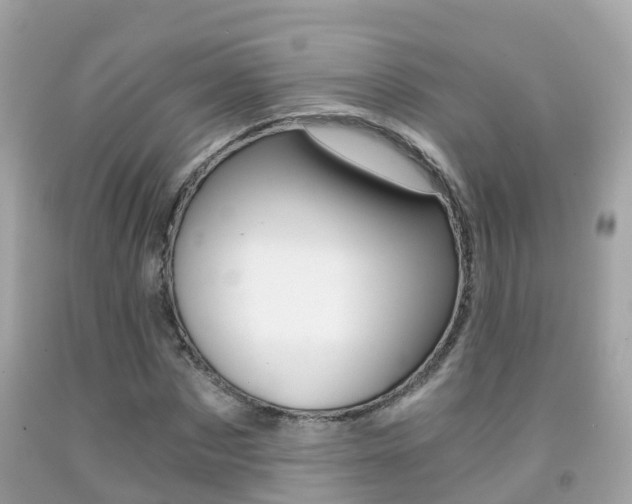 X0000091860873200709050955