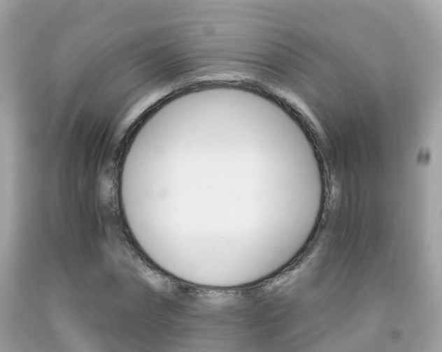 X0000091860874200709050955