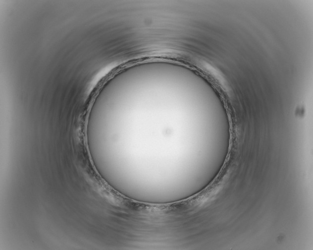 X0000091860875200709050954