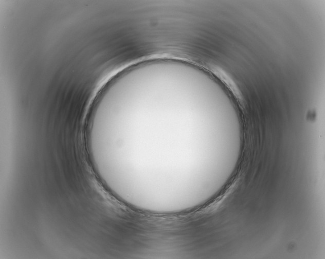 X0000091860876200709050954
