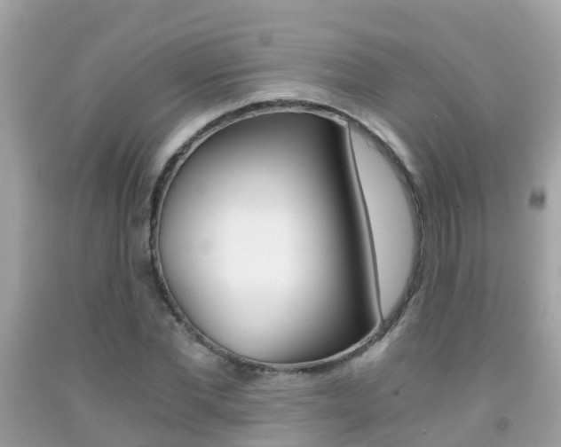 X0000091860877200709050954