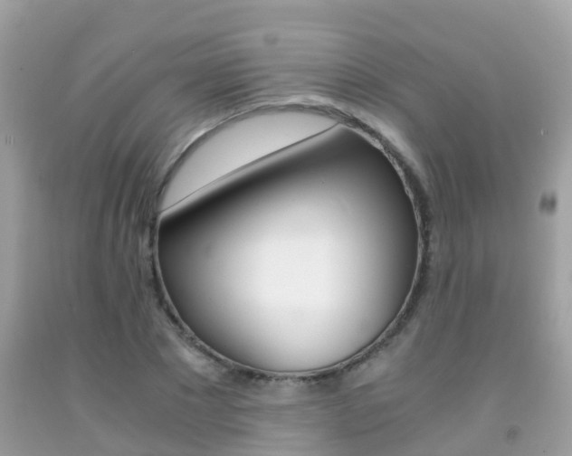 X0000091860881200709050954