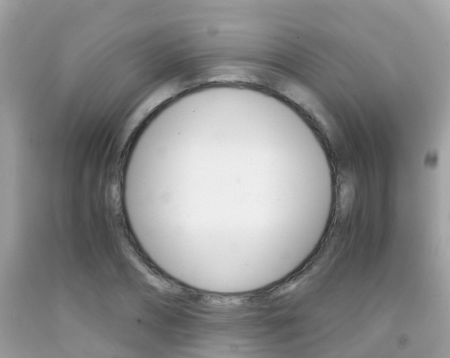X0000091860882200709050954