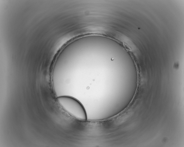 X0000091860883200709050954