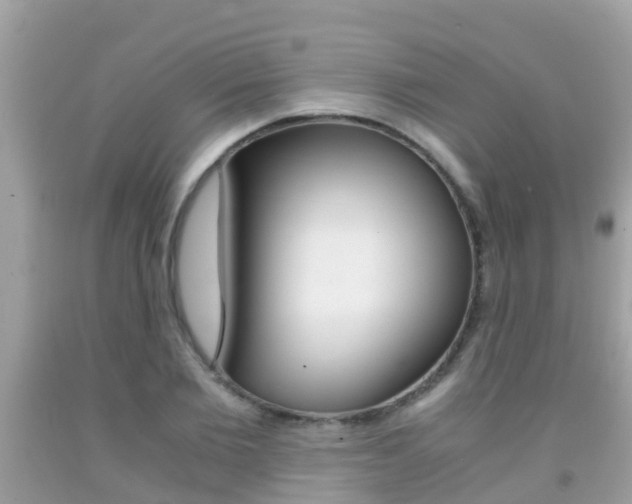 X0000091860885200709050954