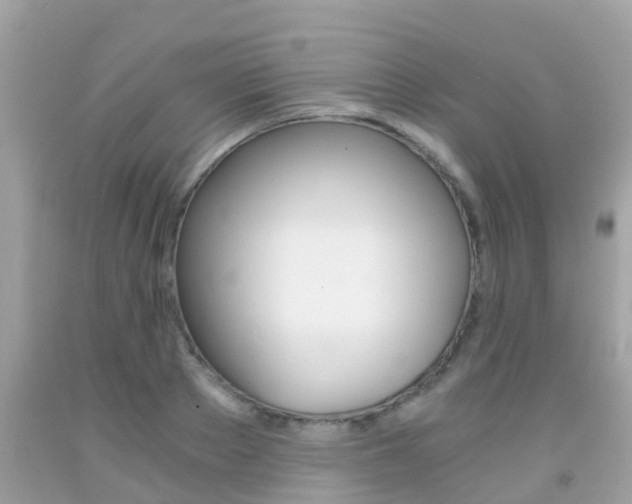 X0000091860889200709050954