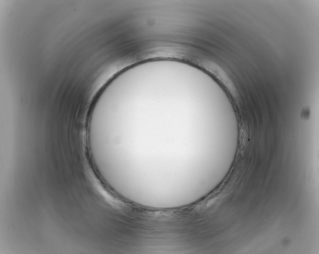 X0000091860890200709050954