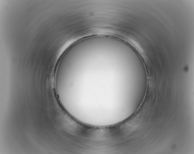 X0000091860891200709050954