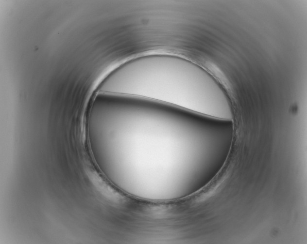 X0000091860892200709050954