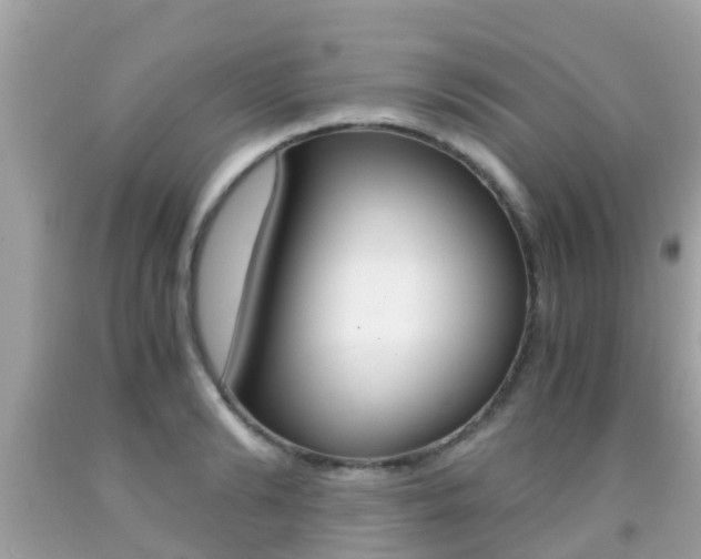 X0000091860894200709050954