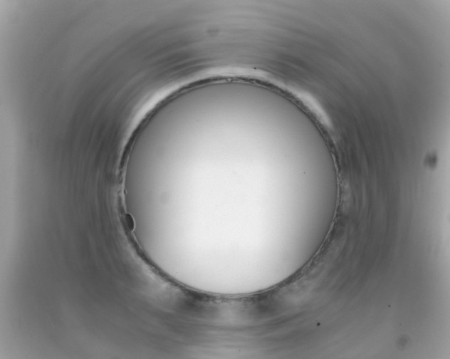 X0000091860895200709050954