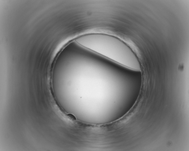 X0000091860896200709050954