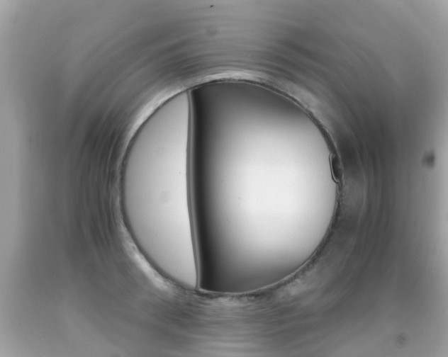 X0000091860898200709050954