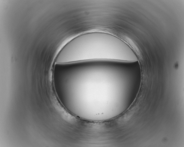 X0000091860900200709050954