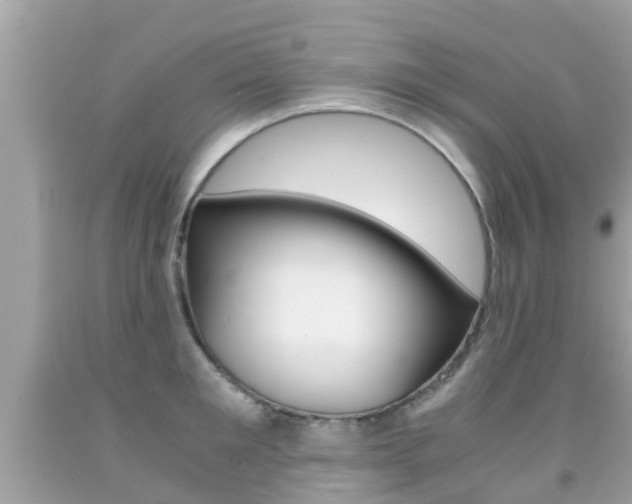 X0000091860901200709050954