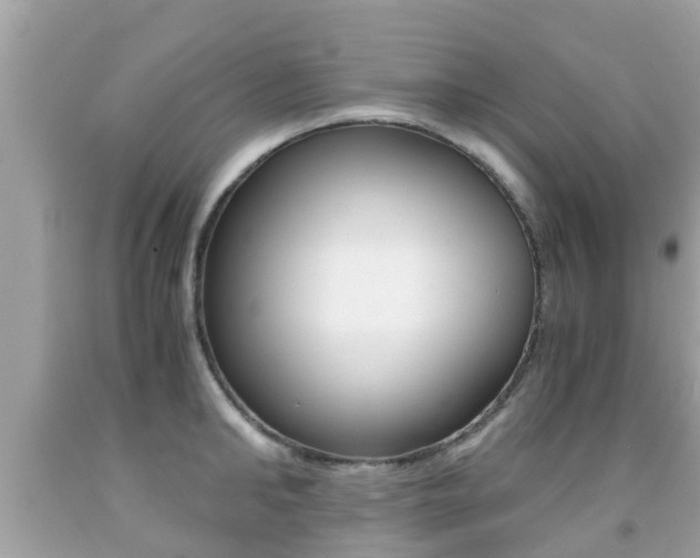X0000091860902200709050954