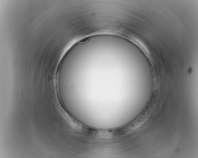 X0000091860907200709050954
