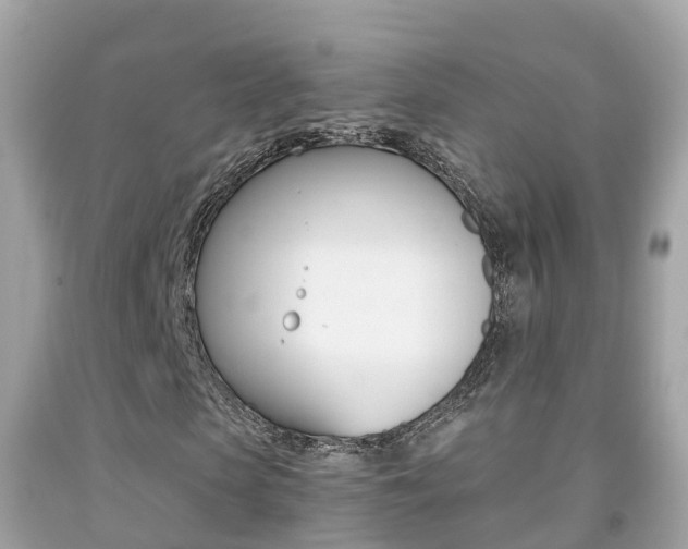X0000091860913200709050953