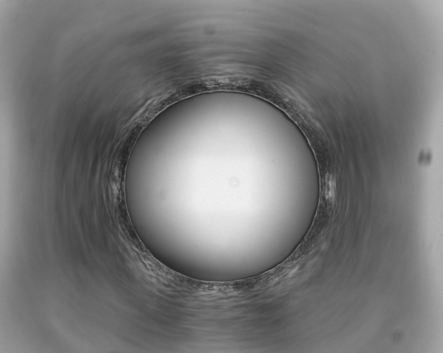 X0000091860915200709050953