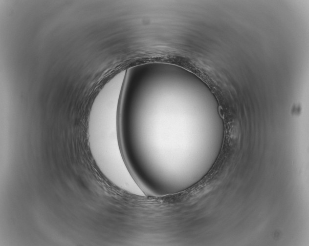 X0000091860916200709050953