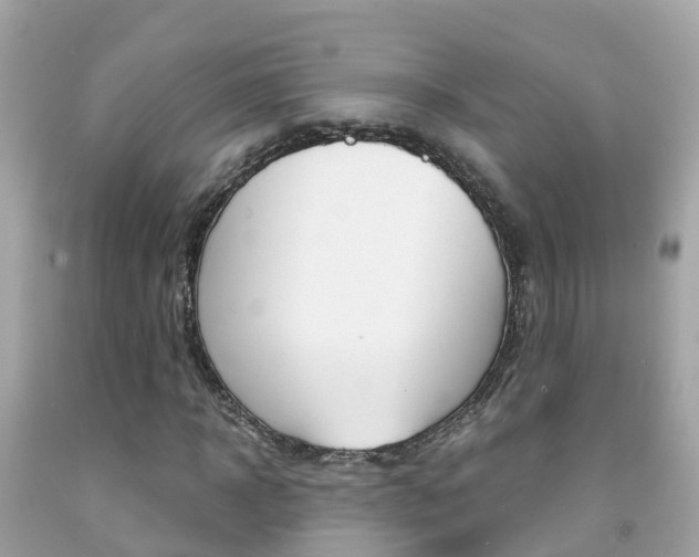 X0000091860918200709050953