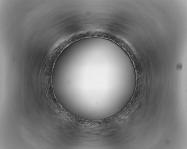 X0000091860919200709050954