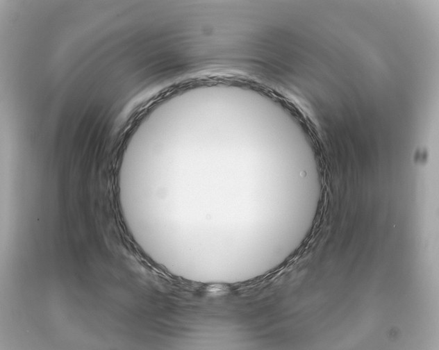 X0000091860920200709050954