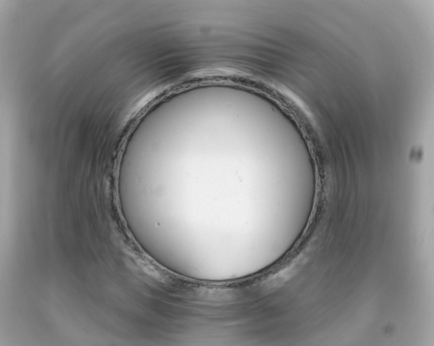X0000091860921200709050954