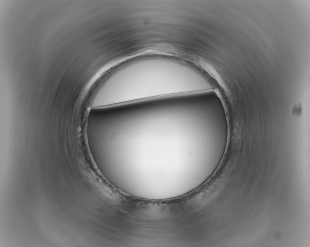X0000091860923200709050954