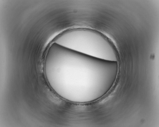 X0000091860925200709050954
