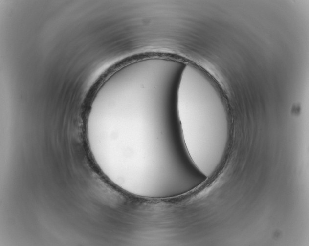 X0000091860926200709050954