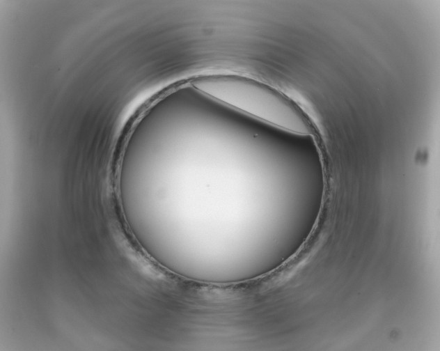 X0000091860928200709050954