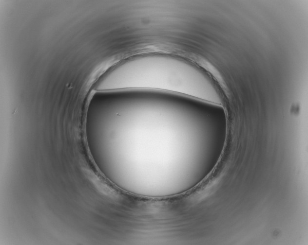 X0000091860930200709050954