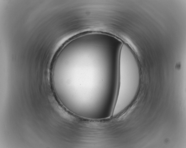 X0000091860932200709050954