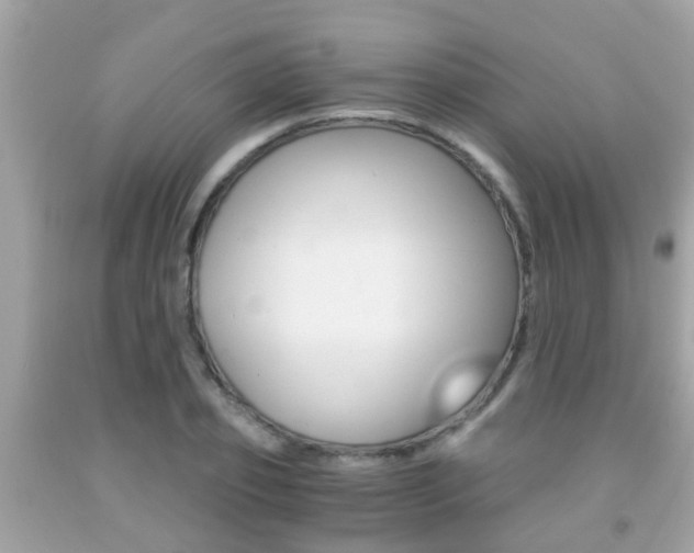 X0000091860933200709050954