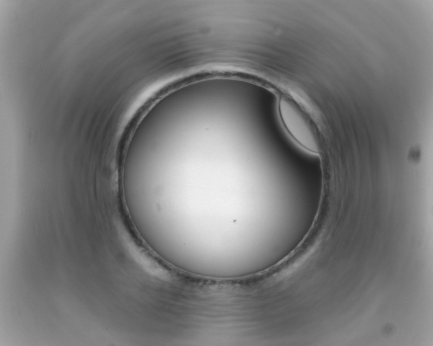 X0000091860934200709050954